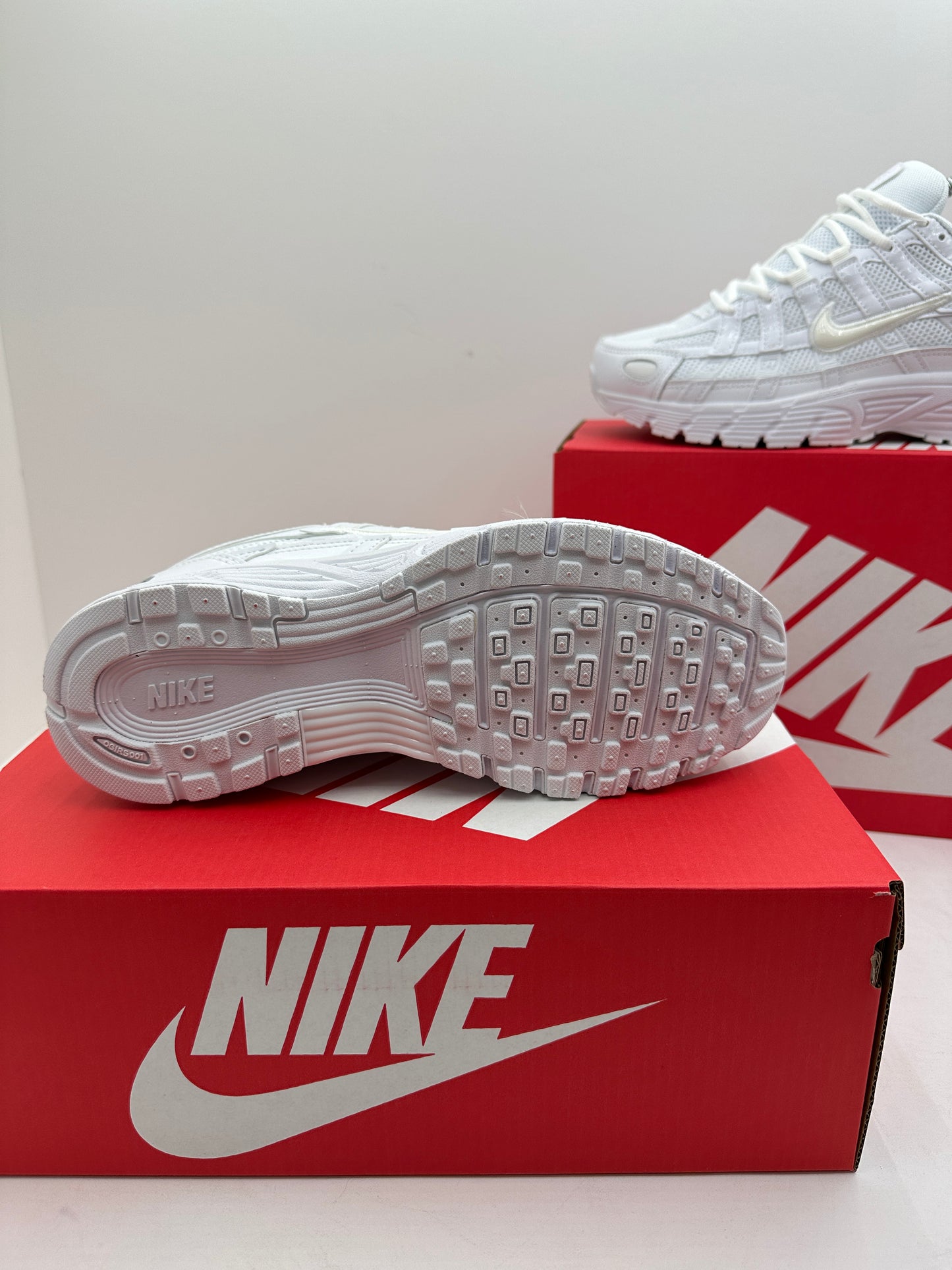 Zapatilla Nike P6000 All White